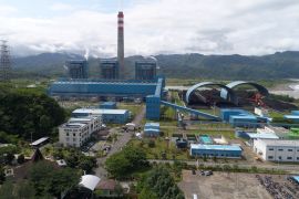 PLN IP gunakan biomassa sorgum masyarakat di PLTU Pelabuhan Ratu