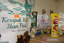 DPMPTSP Kota Cirebon dampingi pelaku UMKM masuk pada kemitraan investasi