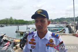 Pemkab Bangka Selatan alokasikan Rp1 miliar untuk perbaikan dermaga pelabuhan Sadai