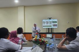 BEI Papua sebut ETF emas jadi alternatif investasi saat rupiah melemah
