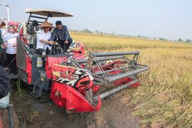 Pemprov Jateng sebut produktivitas padi diproyeksikan 6,69 juta ton gabah kering