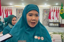 Pemkab Bogor libatkan PKK perkuat pembinaan 444 ribu pelaku UMKM
