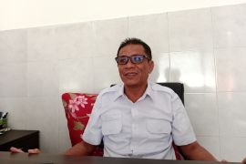Petani Lombok Tengah mulai menanam tembakau