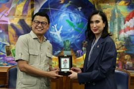 BPOM supports health tourism with special herbal medicine access