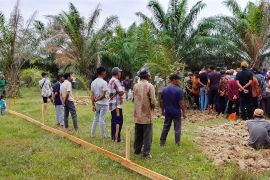 Lahan PTPN IV Cot Girek dijarah, pekerja kebun alami tekanan ekonomi