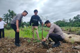 Polres Agam tanam ratusan pohon di lokasi bekas bencana hidrometeorologi