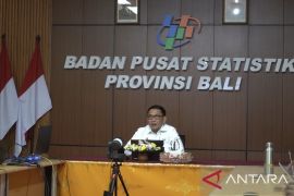 BPS: Karakteristik usaha beragam di Bali masih jadi tantangan sensus ekonomi