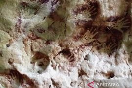 Pemkab Berau-UGM teliti peluang diversifikasi ekonomi di geopark