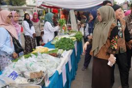 KPKP Jaksel dorong ketahanan pangan lewat bazar UMKM dan urban farming