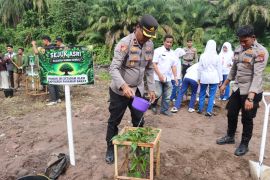 Polres Pasaman Barat tanam berbagai jenis pohon di bekas galian C