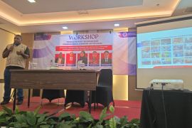 Papua perlu banyak aktor lokal untuk lindungi warga sipil