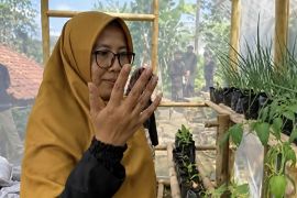 DPRD Jabar dorong perluasan kelompok wanita tani guna ketahanan pangan