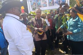 Sektor UMKM dinilai jadi solusi bagi pemda di Papua buka lapangan kerja