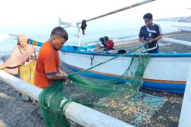 Produksi ikan tongkol nelayan Mataram capai 2.000 tonper tahun