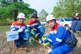 Pertamina EP Zona 4 tanam 3.650 pohon pakan gajah sumatera di Musi Rawas