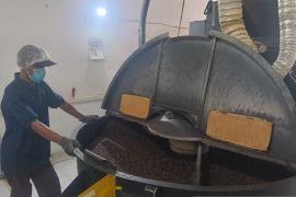 PDP Kahyangan Jember kembangkan kopi organik dengan cita rasa tinggi