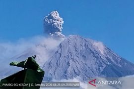 Gunung Semeru erupsi Kamis, tinggi letusan capai 1,2 km di atas puncak