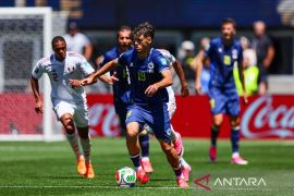 Sergej Barbarez bangga pada pencapaian Bosnia