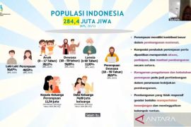 Kementerian PPPA catat 11,54 juta perempuan di Indonesia jadi kepala keluarga