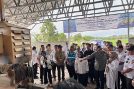 PLN UID Lampung hadirkan layanan listrik sesuai kebutuhan petani