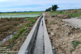Distan Aceh Utara pastikan rehabilitasi 1.093 Ha sawah terdampak bencana tuntas 2026