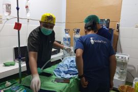 Polda Sulteng fasilitasi operasi bibir sumbing-katarak bagi 28 pasien