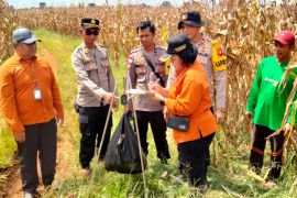 Panen Jagung di Bengkayang capai 11,47 ton per hektare