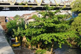 Pemkot Yogyakarta normalisasi Sungai Code kembalikan fungsi alami
