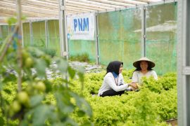 PNM perluas akses pembiayaan hingga wilayah 3T
