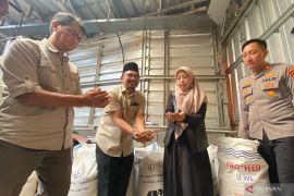 IPB kembangkan pakan ternak hijauan yang bernilai ekonomis di Garut