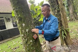 Kemenhut: Memanfaatan hutan bukan berarti merusak hutan