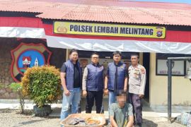Tim URC Polsek Lembah Melintang Polres Pasaman Barat tangkap pelaku Curat dalam Operasi Sikat Singgalang 2026