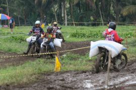 Balap manol gabah di Banyuwangi