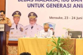 Pemprov Papua Selatan perkuat sistem pangan lokal