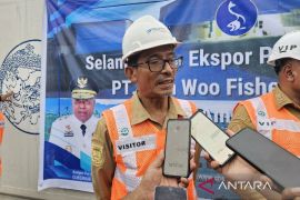 Pemprov tegaskan penguatan "rantai dingin" penting bagi sektor perikanan Papua