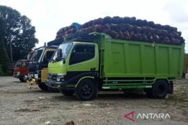 Pemkab  Aceh Barat ingatkan PKS beli TBS petani sesuai harga pemerintah