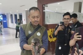 Kemenhut gagalkan penyelundupan satwa liar ke Oman