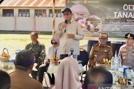 Kementan apresiasi produktivitas padi Bone Bolango di atas nasional