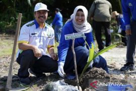 PLN Babel berdayakan komunitas kelola kawasan pesisir kritis