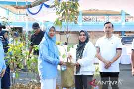 Tanah Bumbu perkuat ketahanan iklim melalui gerakan penghijauan