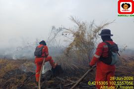 Sudah 2 hari, Manggala Agni masih padamkan karhutla di Inhu seluas 5 hektare