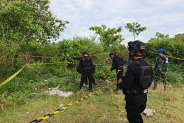 Tim penjinak bom musnahkan dua granat di Kabupaten Jayapura