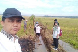 Kulon Progo meningkatkan kewaspadaan hadapi kemarau dan serangan wereng