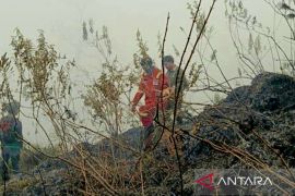 Kemenhut dan tim gabungan padamkan kebakaran hutan Sembalun-NTB