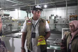 Dirut Bulog memerintahkan tarik seluruh produk Minyakita berbau solar