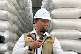 Bulog: Mentan usulkan distribusi Minyakita 100 persen oleh BUMN Pangan