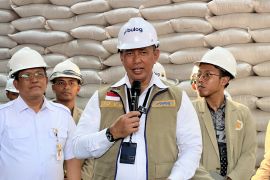 Bulog persilakan masyarakat tukar Minyakita bau solar ke PT KMR