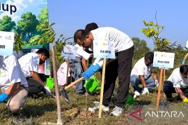 PLN Group di Riau bersatu jaga Bumi, bersihkan ratusan kilogram sampah dan tanam ratusan pohon