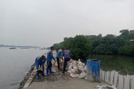 Pemkab pelihara tanggul kubus di Pulau Untung Jawa cegah abrasi