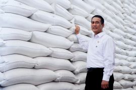 Kepala Bapanas sebut Indonesia lumbung beras dunia tanpa impor